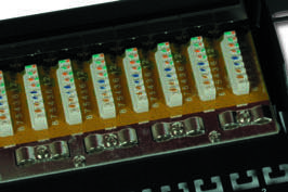 Patch panel 24 port, Cat.6_Dupl